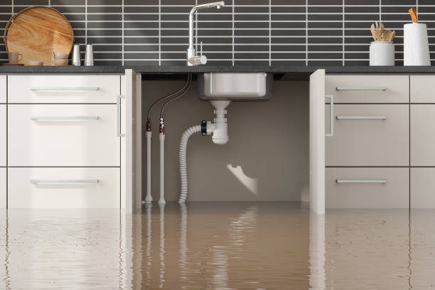 Best Flooded house restoration  in Monaca, PA