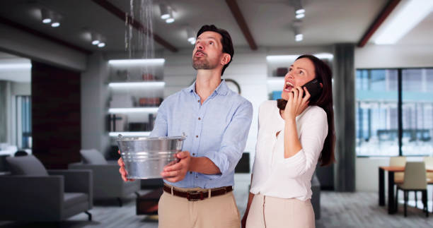 Best Water damage contractors near me  in Monaca, PA